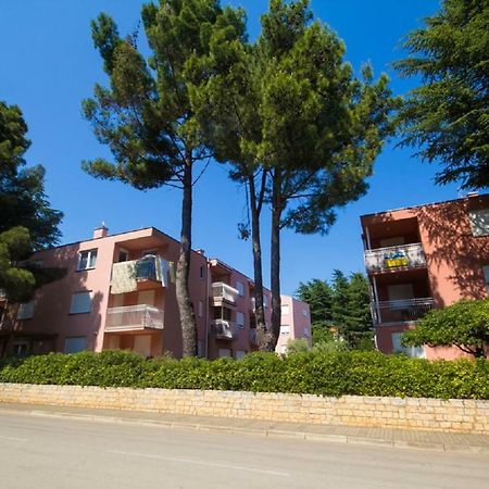 Roza Apartment Novigrad Istria Esterno foto